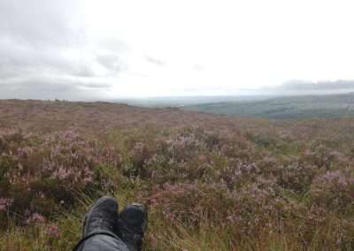 A pair of feet with hiking boots on, among a landscape of heather.